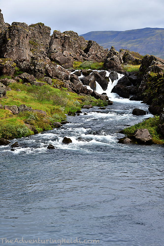 dsc_3841