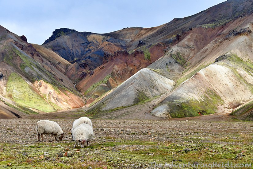 Landmannalaugar, Iceland