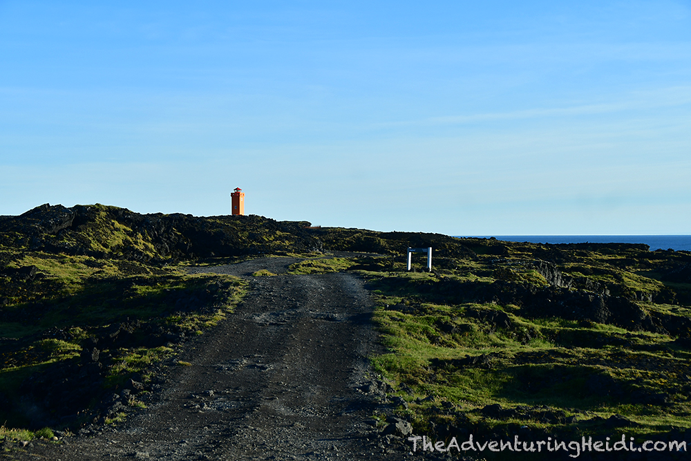 dsc_4958