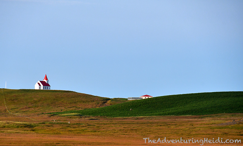 dsc_5065