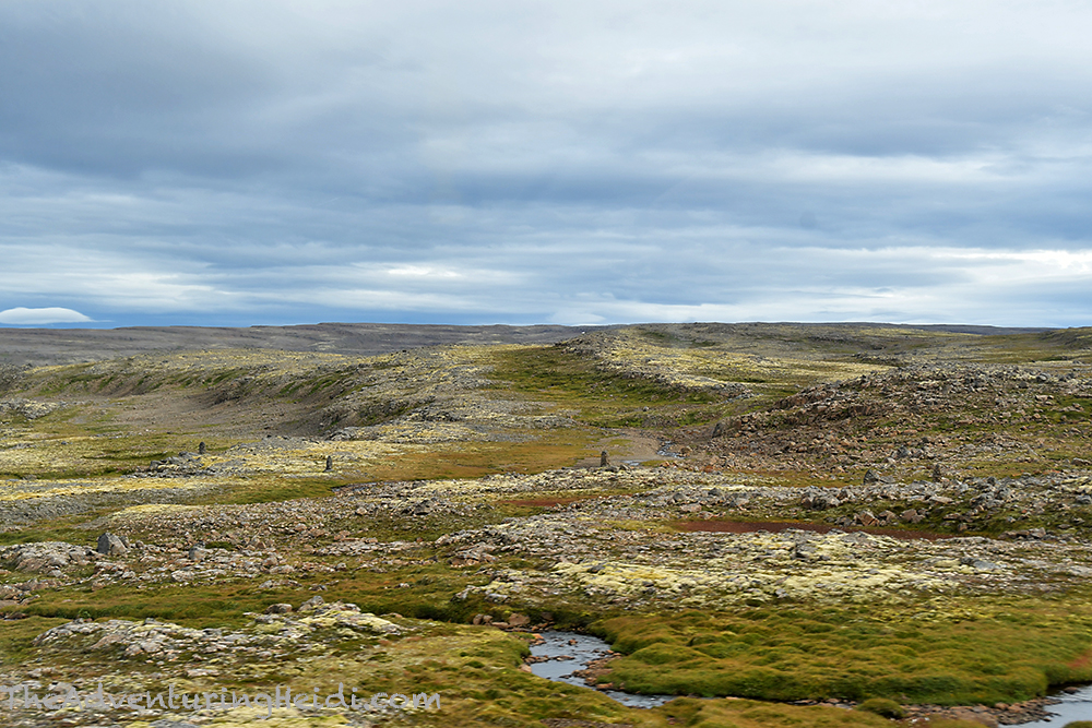 dsc_5356