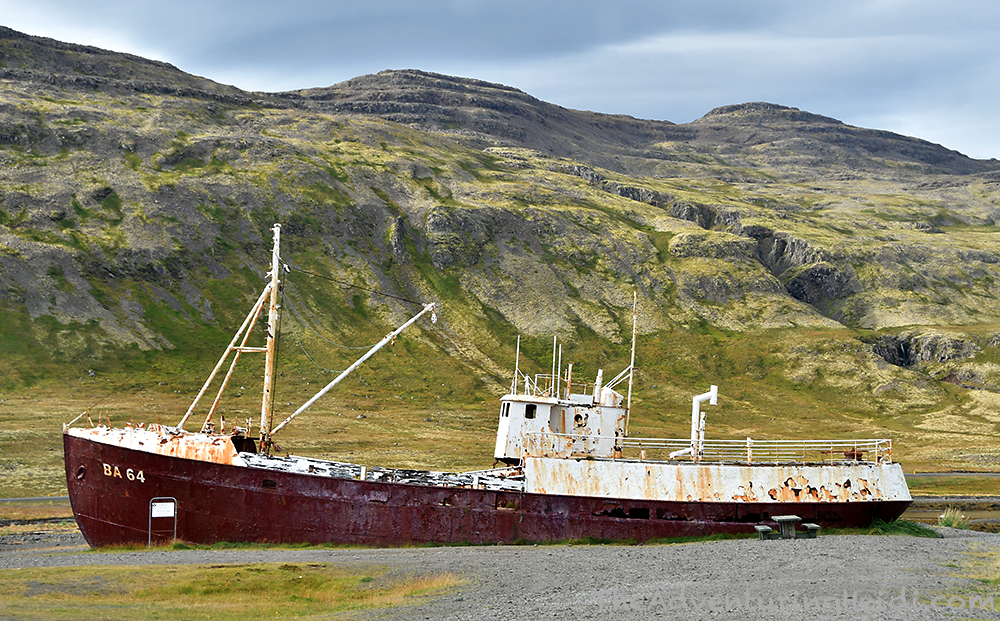 dsc_5391