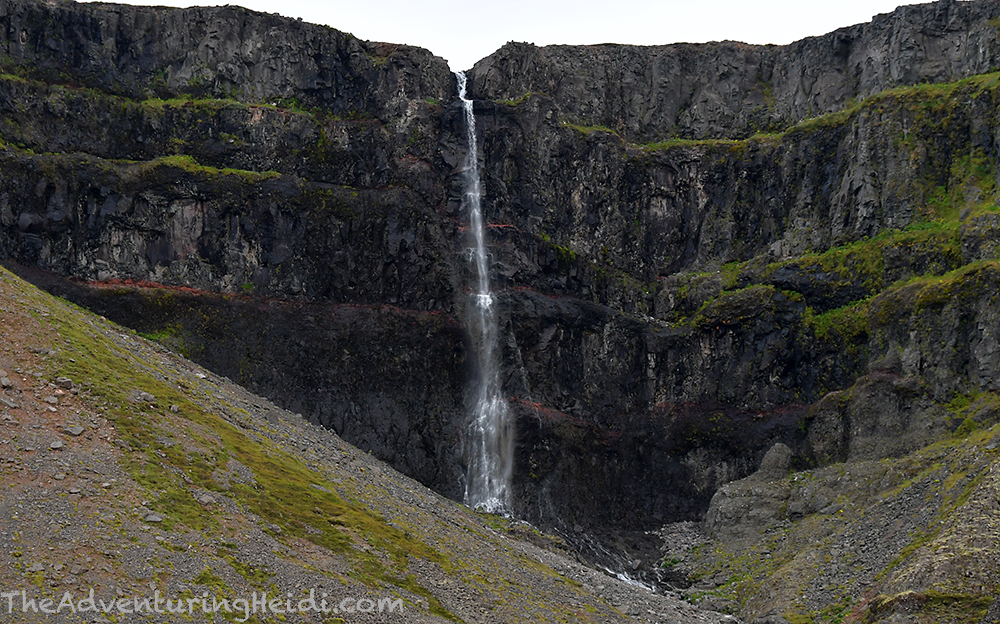 dsc_5568