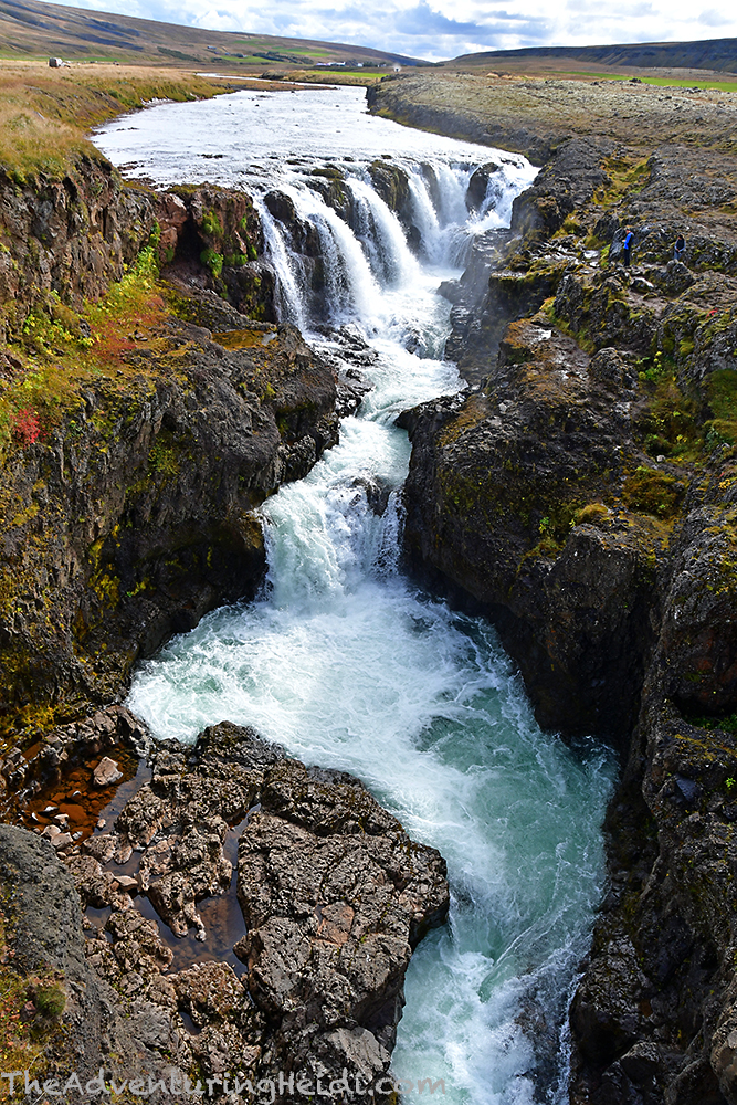 dsc_6329