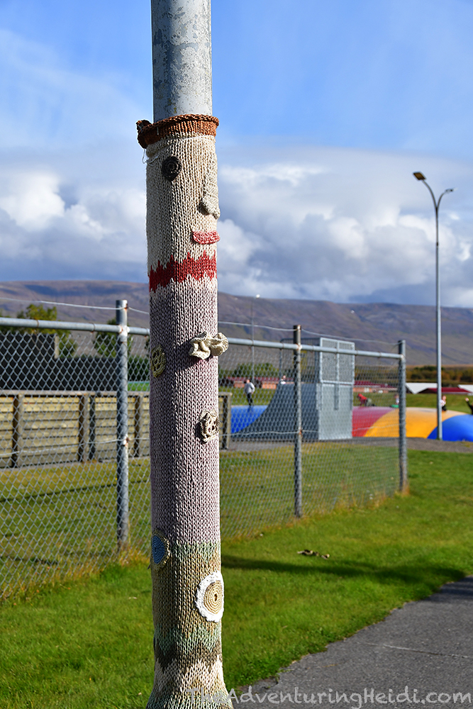 dsc_6375