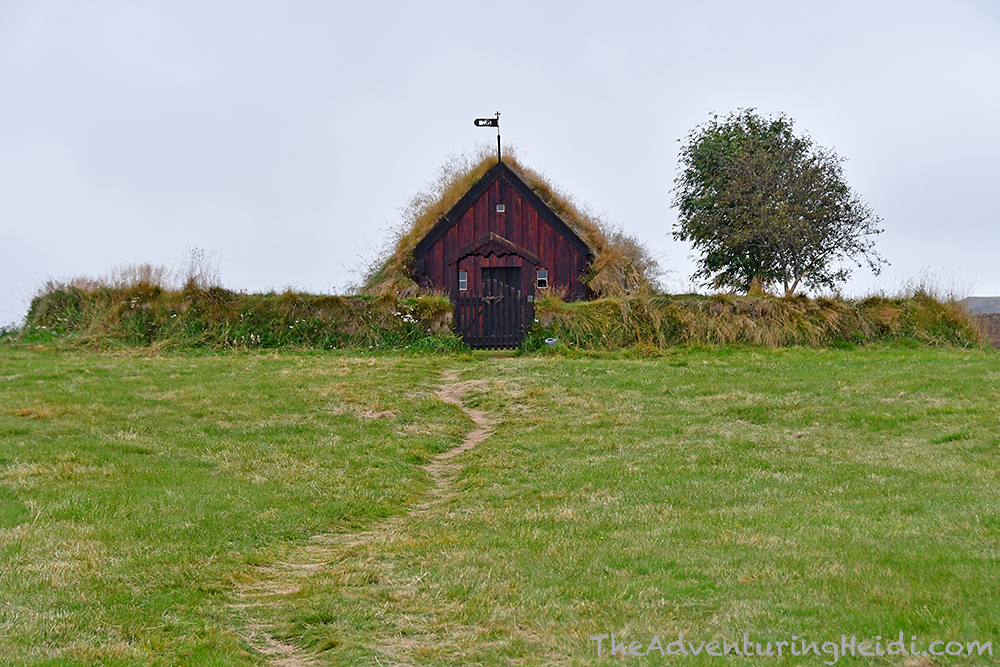 dsc_6519