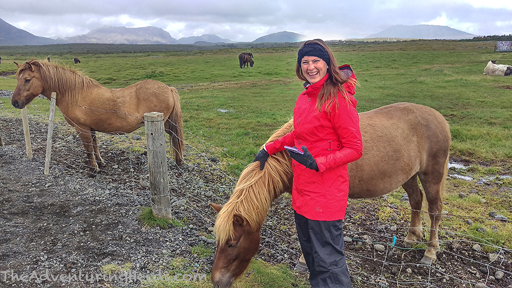 imag9501