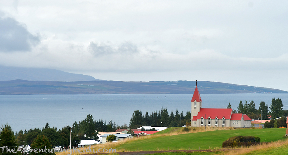 DSC_6660