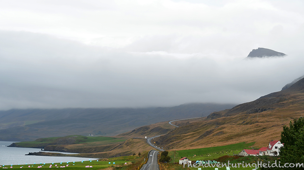 DSC_6664