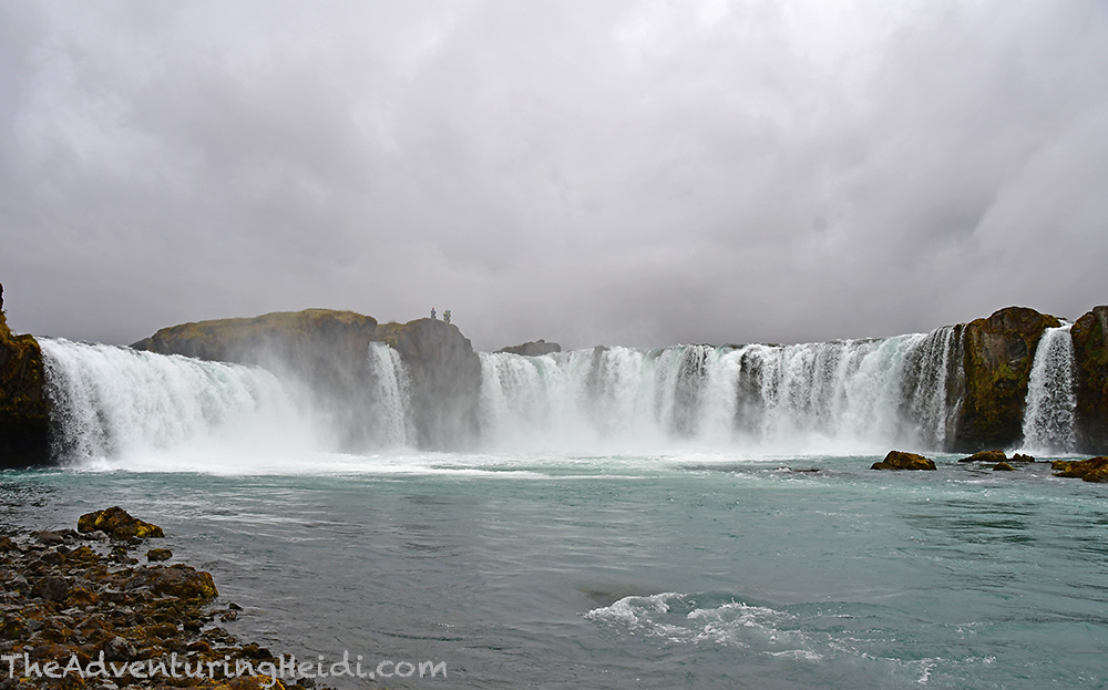 DSC_6701
