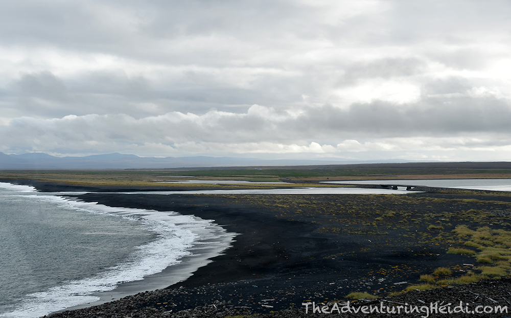 DSC_6989