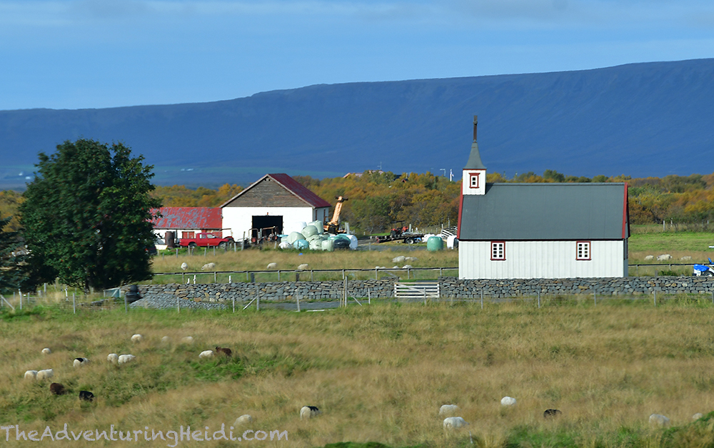 DSC_7045