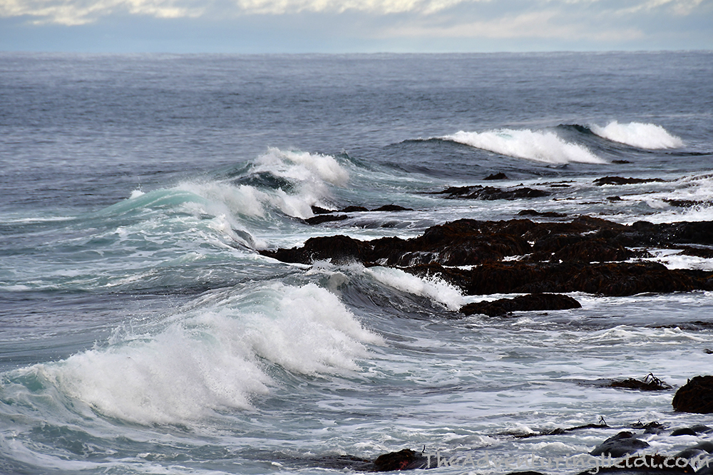 DSC_7111
