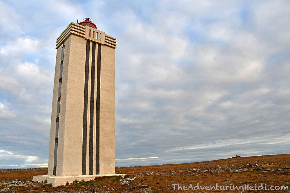 DSC_7127