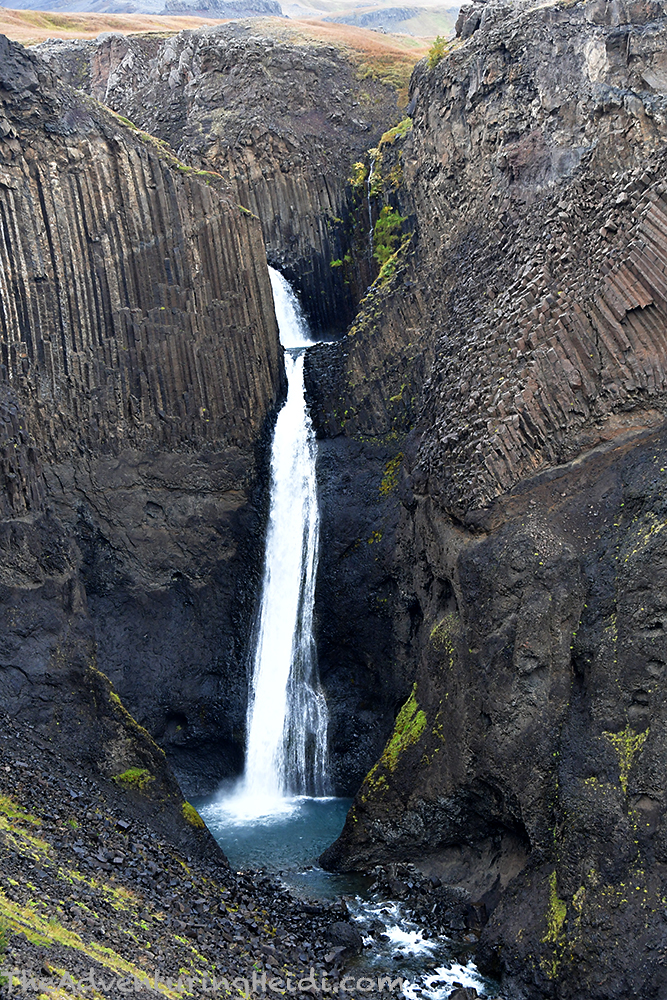 DSC_7482