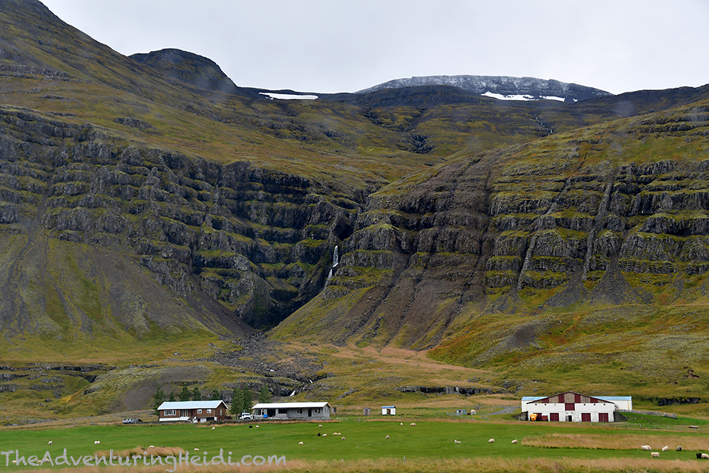 DSC_7560