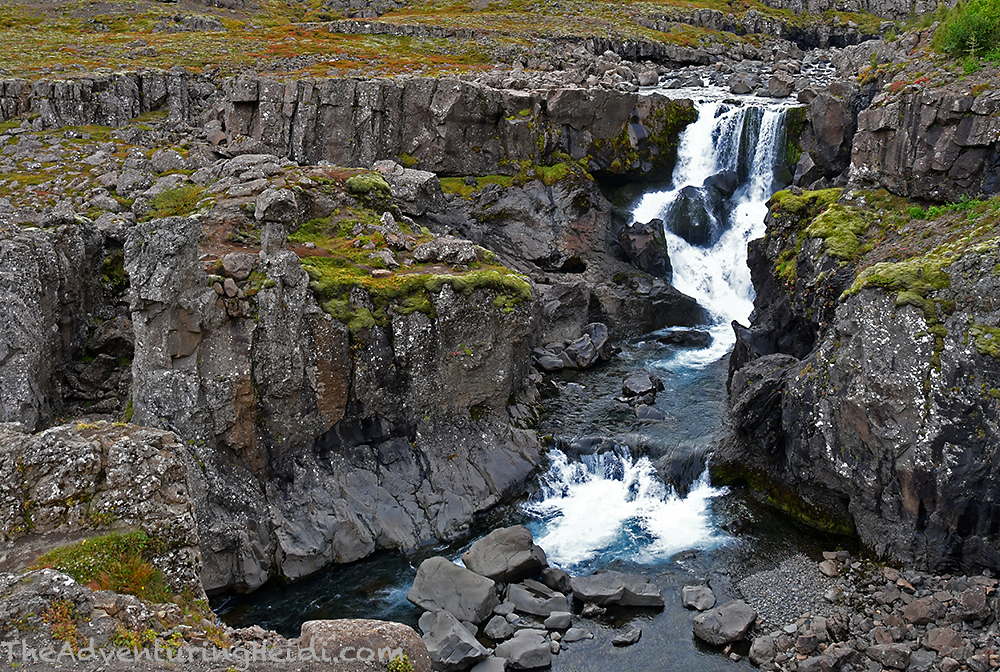 DSC_7666