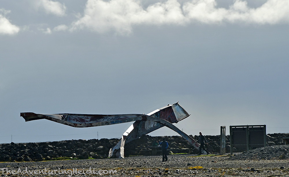 DSC_8320