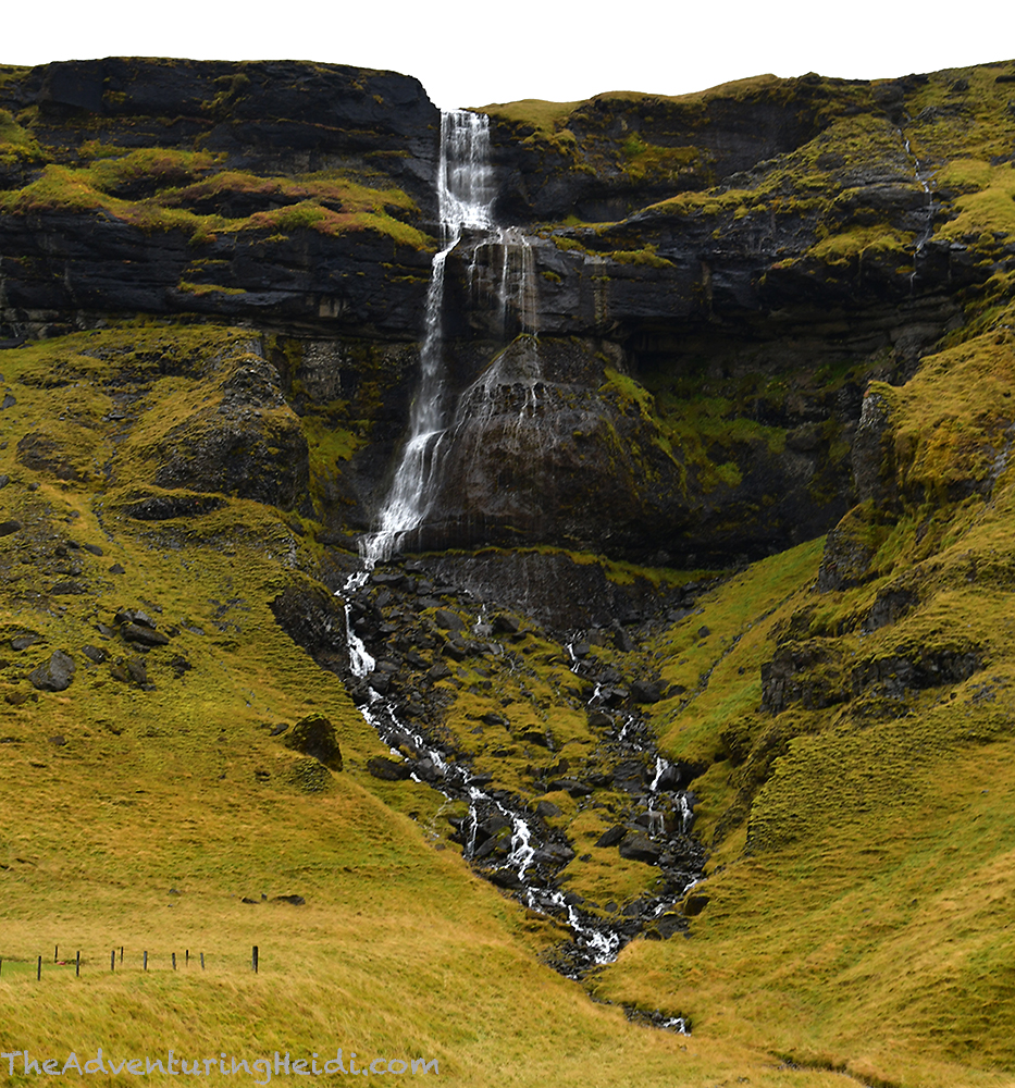 DSC_8376