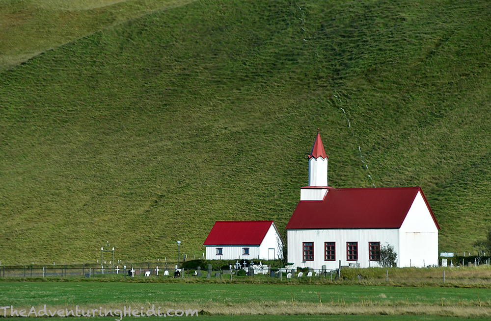 DSC_8644