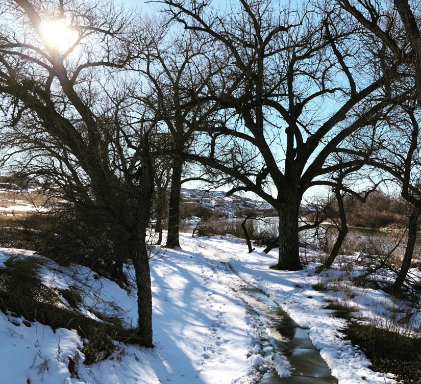 7e6b1f3f-a3f2-4c33-b274-248252d0ccb2