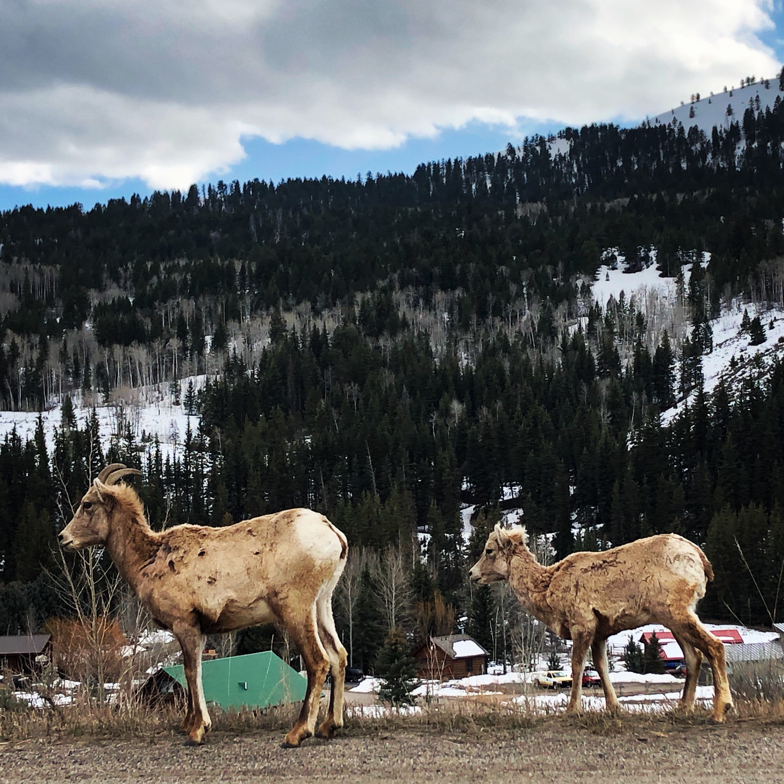 ad2d58e7-7361-403f-8d1c-8570ce6ad69a