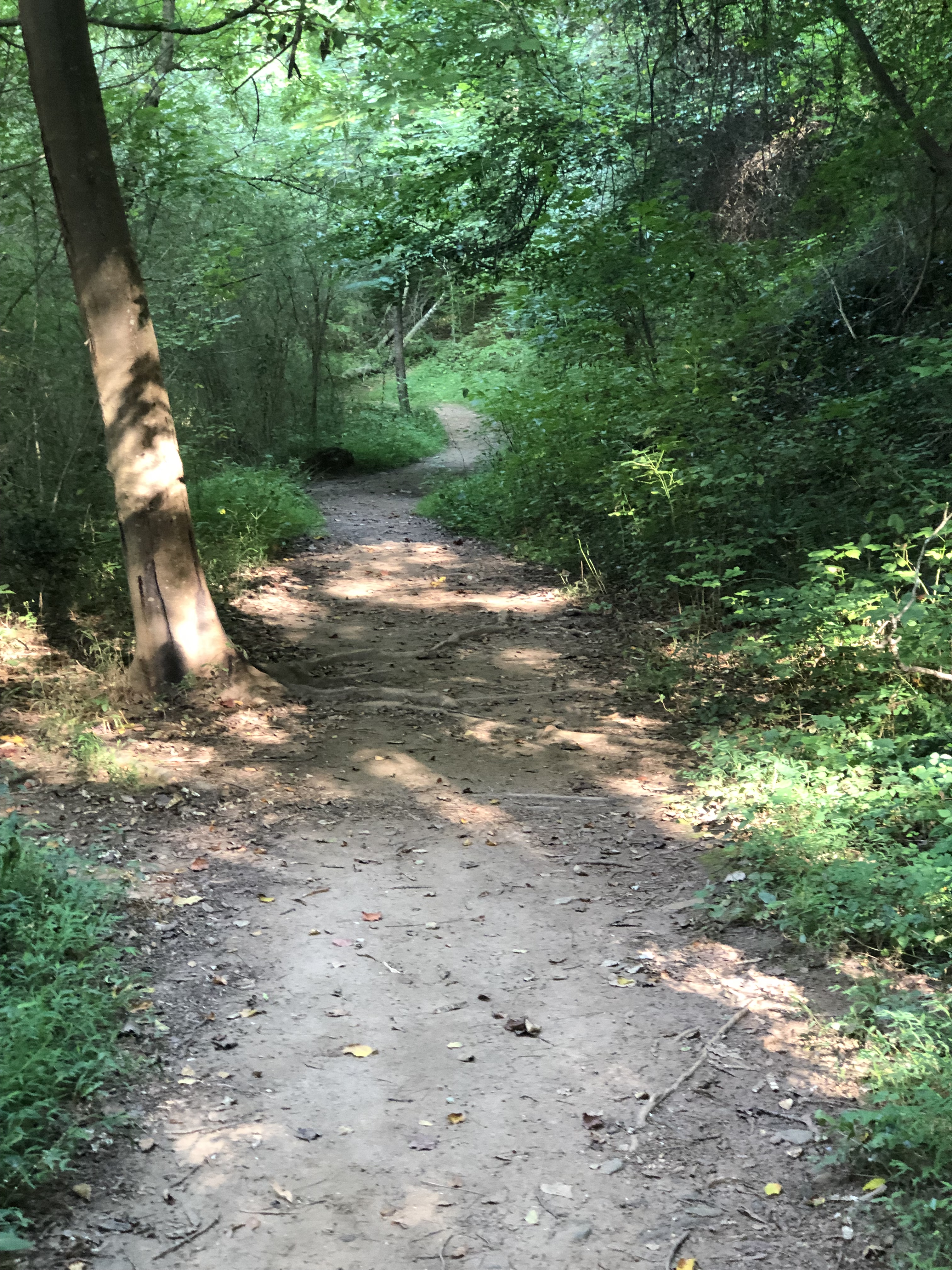 1C0996D3-9375-4AA1-88D2-758B9F7C768C