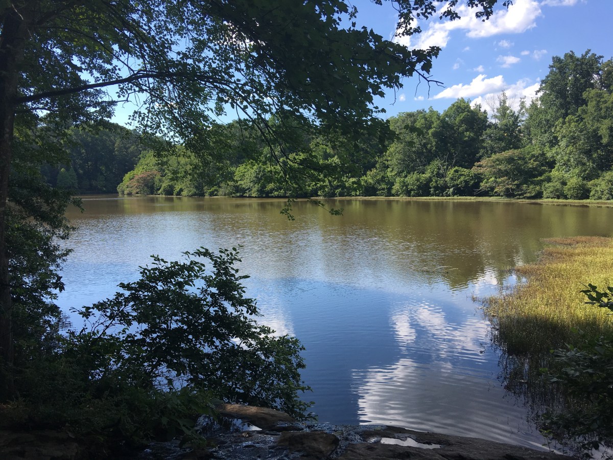 Hahn Woods & Lullwater Preserve – my bit of nature in&nbsp;Atlanta
