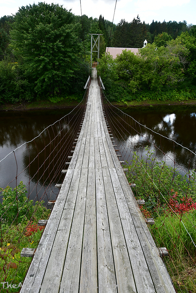 DSC_1460