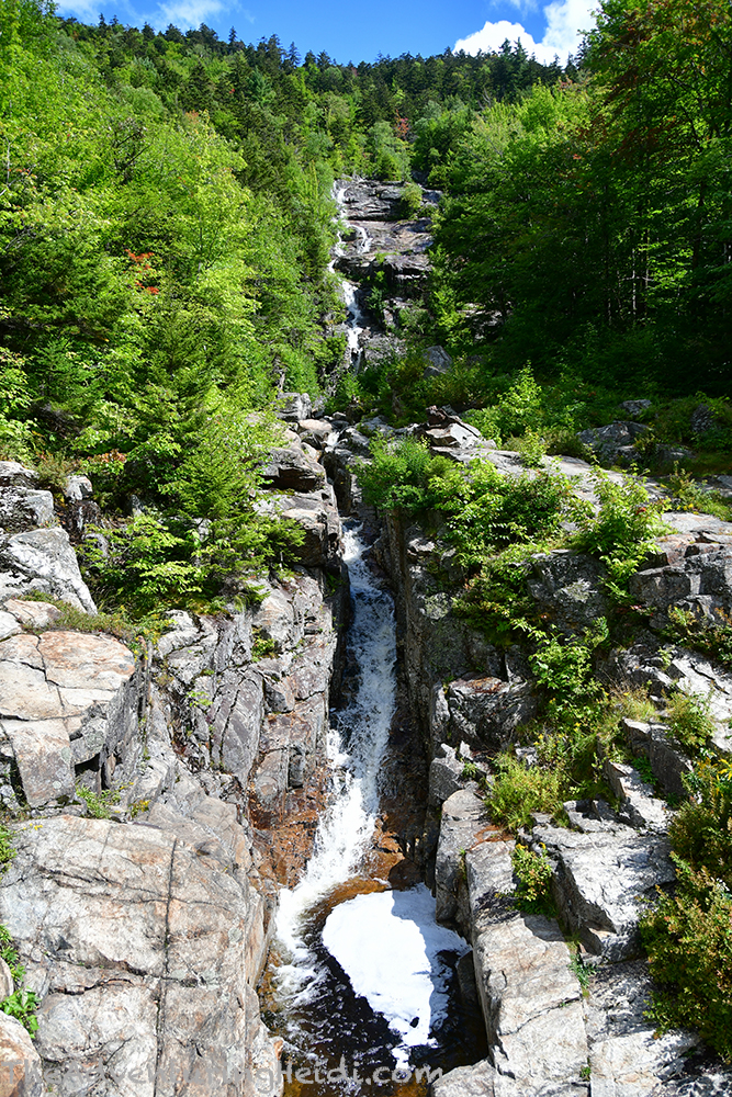 DSC_1268