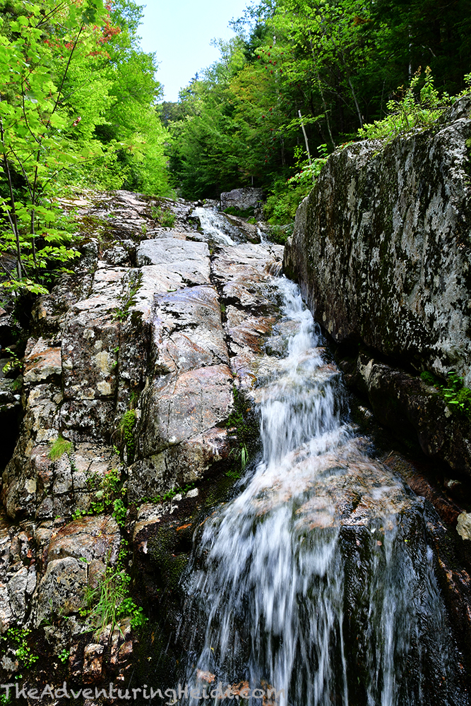 DSC_1293
