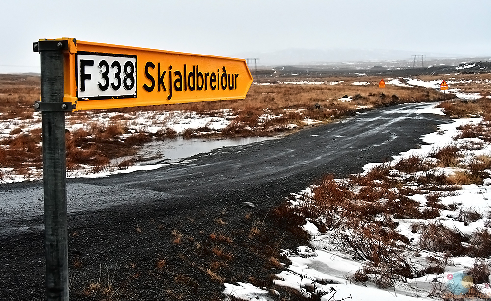 DSC_1850