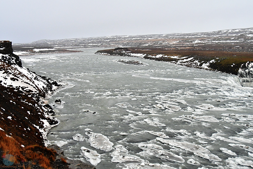 DSC_1869