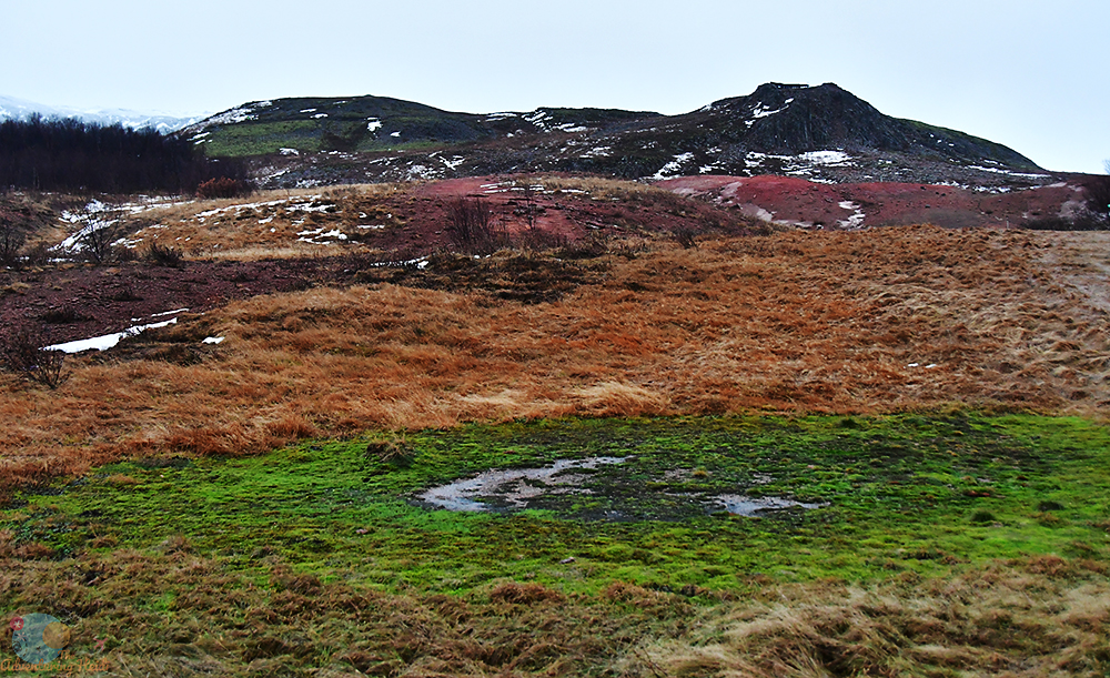 DSC_1879