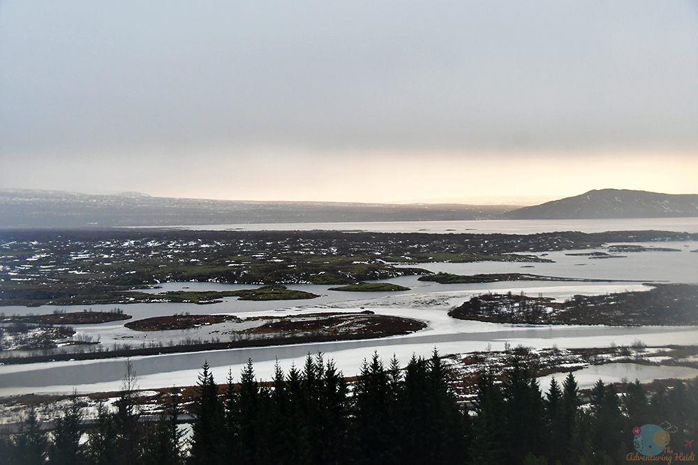 DSC_1909