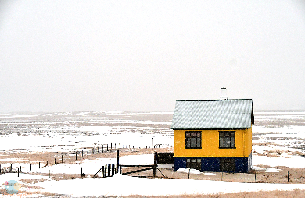 DSC_1922