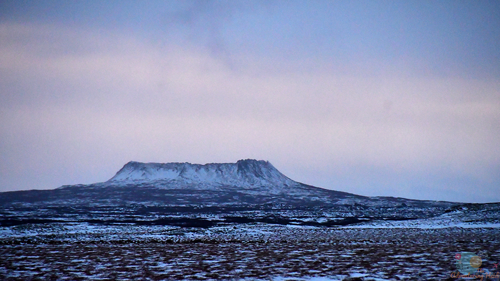 DSC_1980