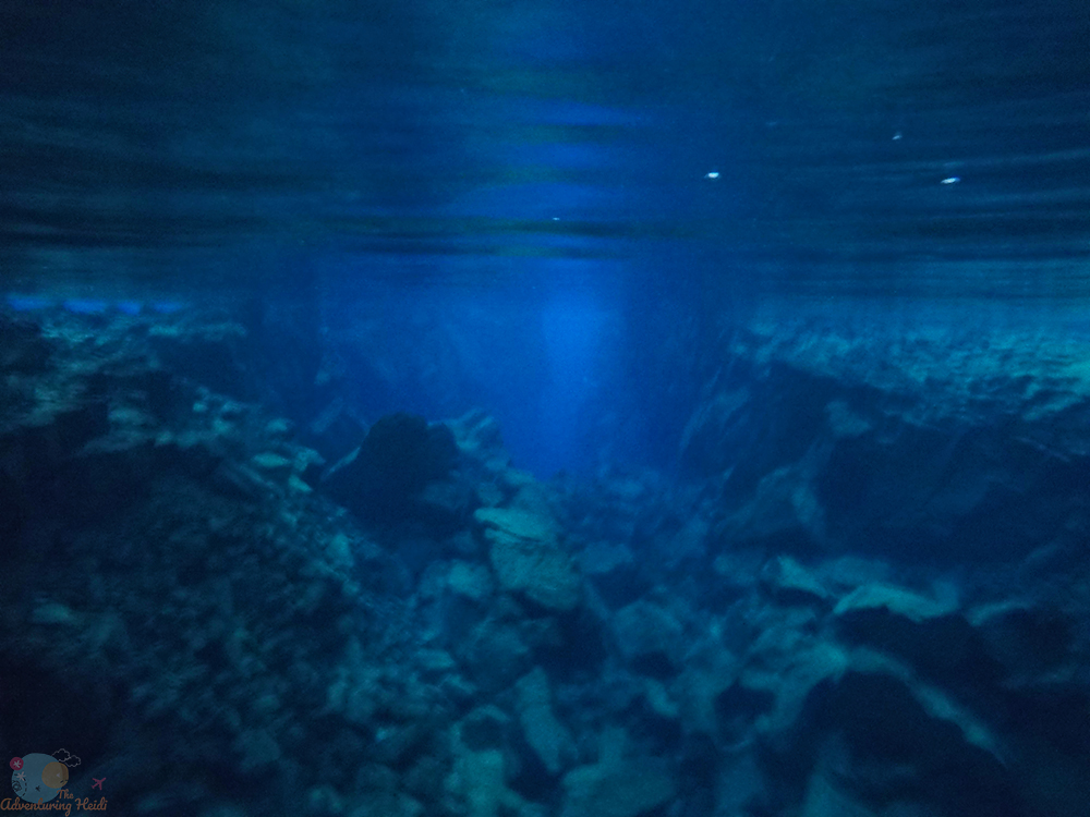 DCIM194GOPROGOPR8519.JPG