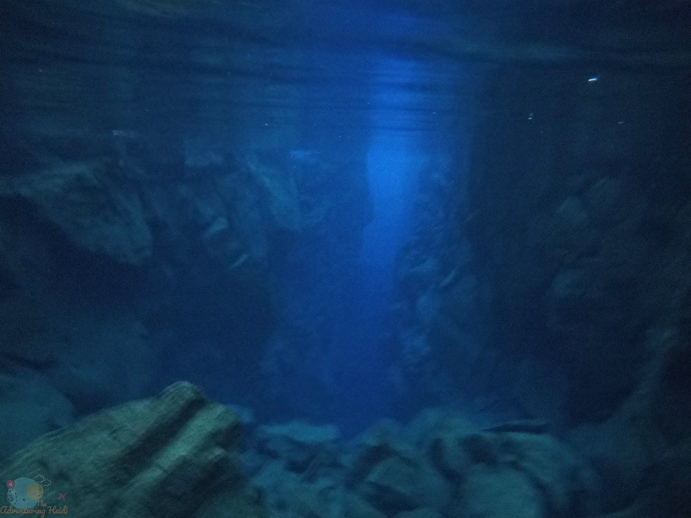 DCIM194GOPROGOPR8521.JPG