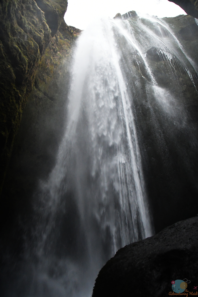 DSC_2392