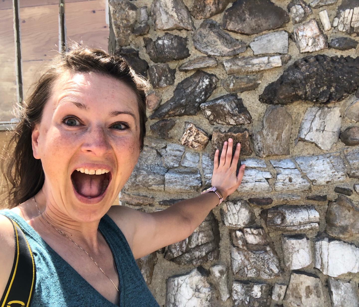 d877c894-8f8b-4f70-9aa1-830ced1084df