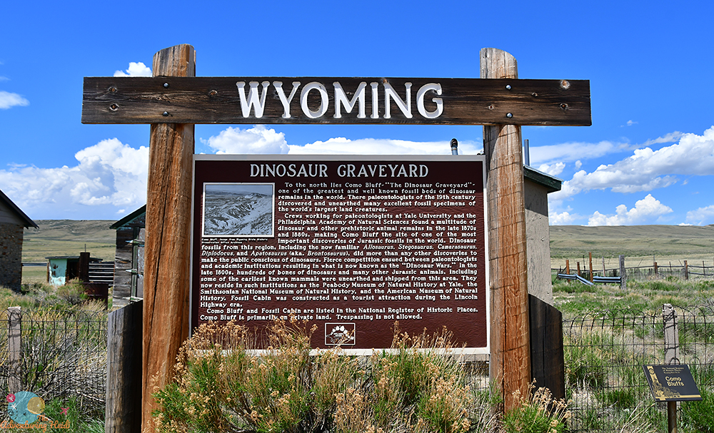 It's hard to miss the large historical marker sign on the side of the highway, which tells the story of Como Bluff and resulting dinosaur wars.