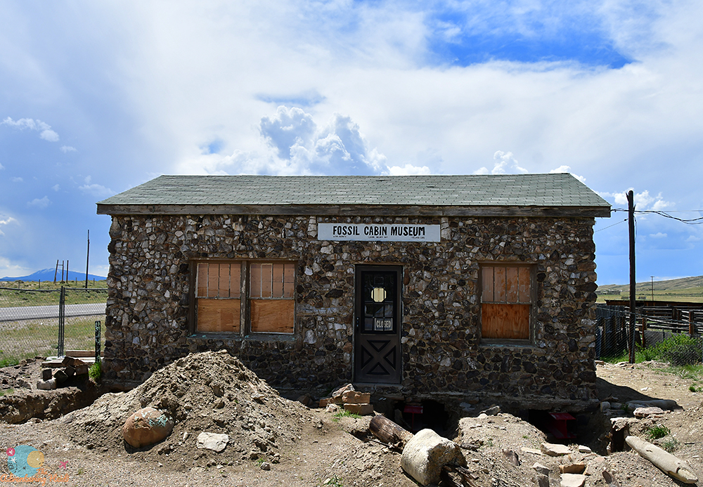 Como Buff Fossil Cabin