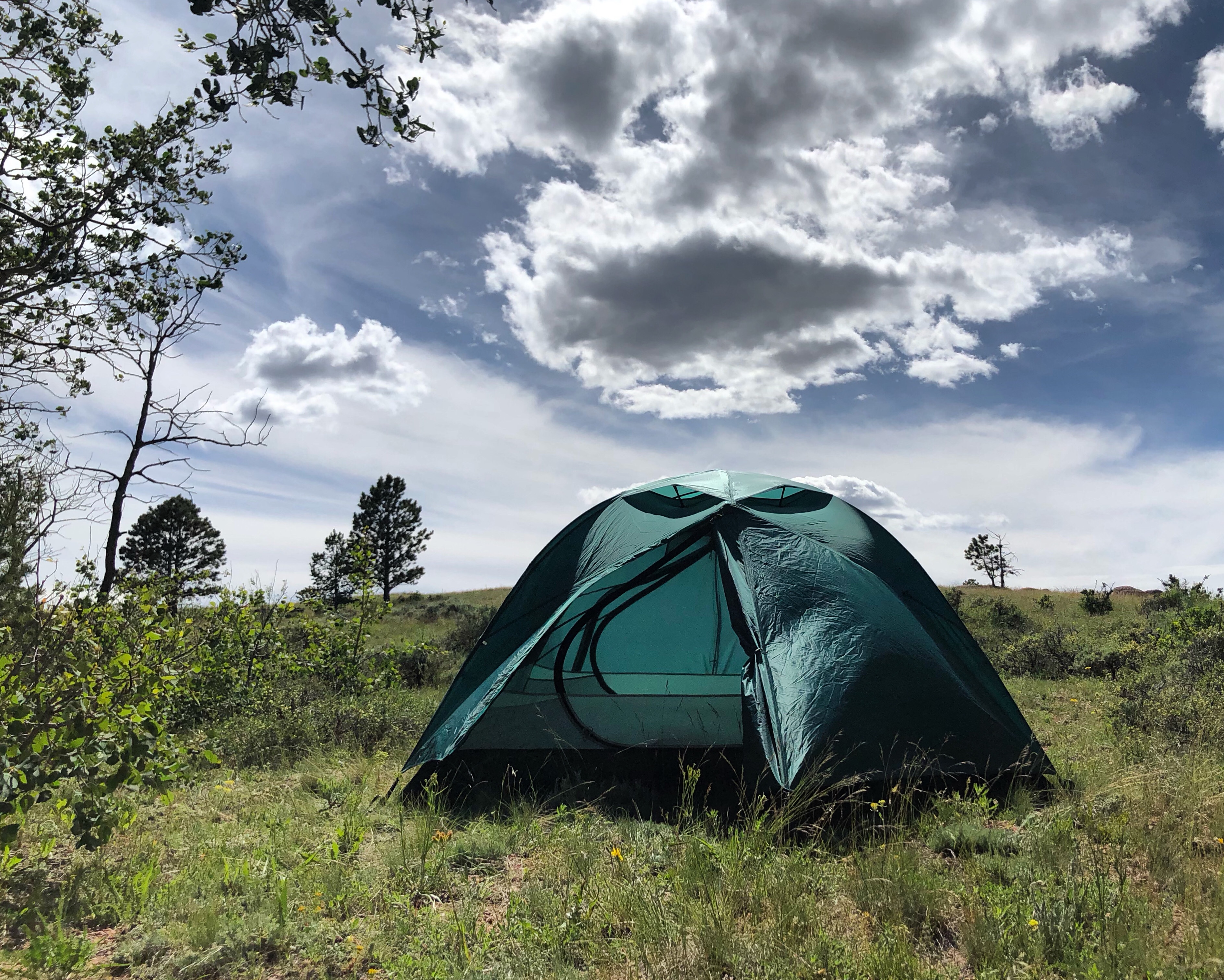 87d859cf-2a3a-458c-a106-2d91c9f8460c