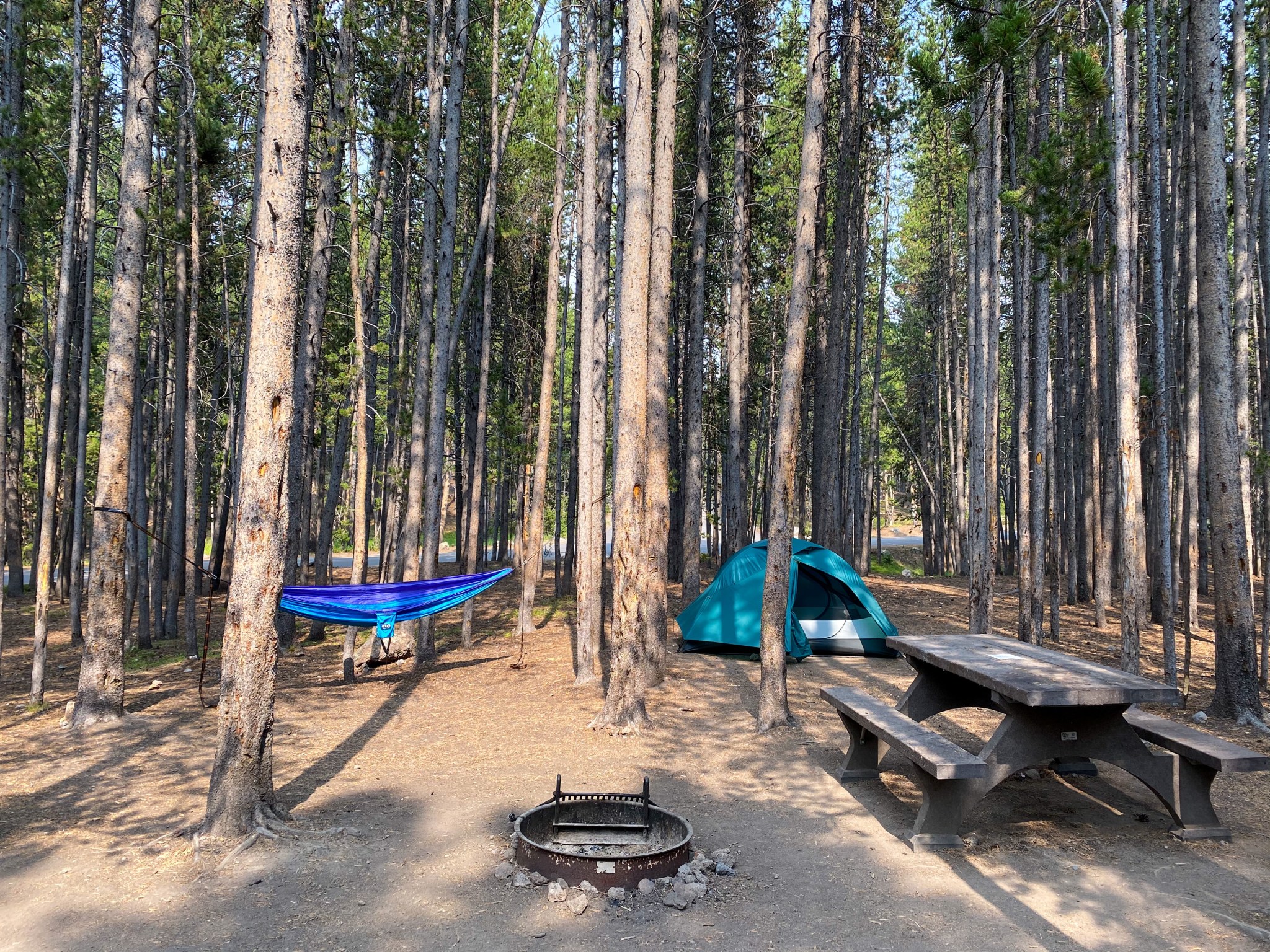 Under The Stars My Guide To Camping In Yellowstone National Park The under-the-stars-my-guide-to-camping-in-yellowstone-national-park-the
