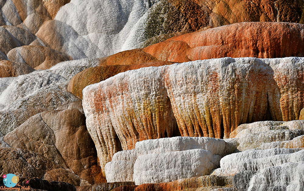 Of Geysers & Waterfalls – Day 5: Mammoth Hot Springs, Undine Falls, Biscuit Basin, Mystic Falls, and Lower Geyser Basin
