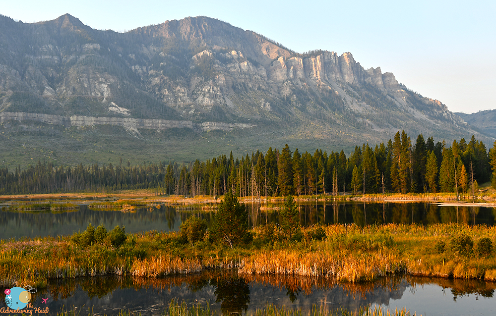Caldera Tales – Day 1:  Trout Lake, Lost Creek Falls, Petrified Tree, & the Lamar&nbsp;Valley