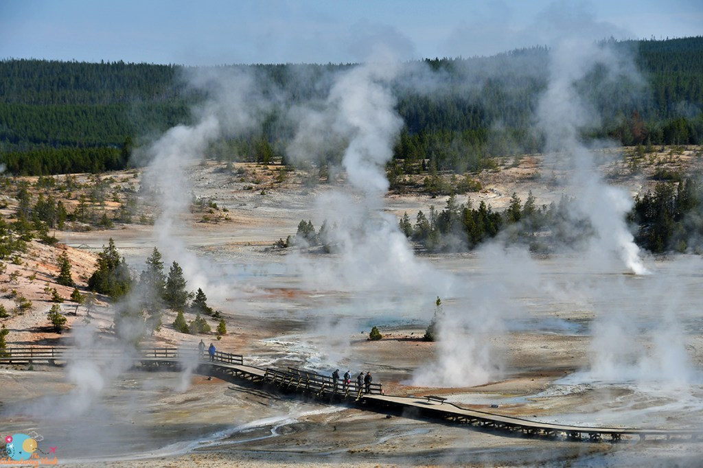 Caldera Tales – Day 7: Norris Geyser Basin, Ice Lake, & Little Gibbon Falls