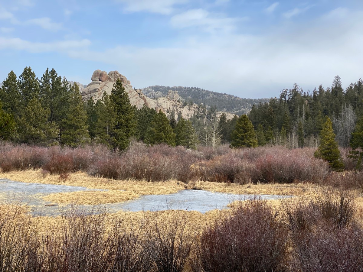 Wyoming Hiked:  Turtle Rock&nbsp;Loop