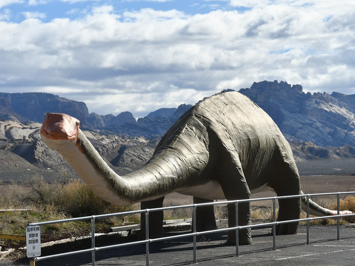A BeaUTAHful Bucket List: Day 11 – Dinosaur National&nbsp;Monument